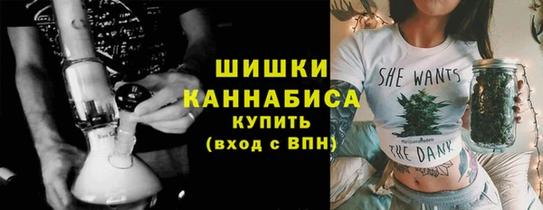 прущие грибы Заволжск