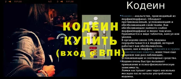 прущие грибы Заволжск
