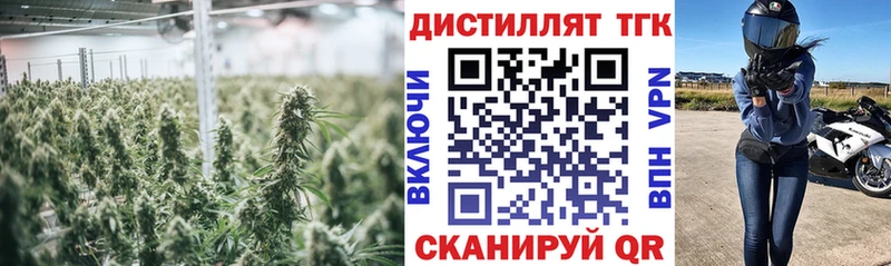 Купить где  Камышлов  Дистиллят ТГК THC oil 